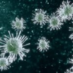 Alveo Technologies Completes Expanded CDC Agreement for Seasonal and Avian Influenza Test