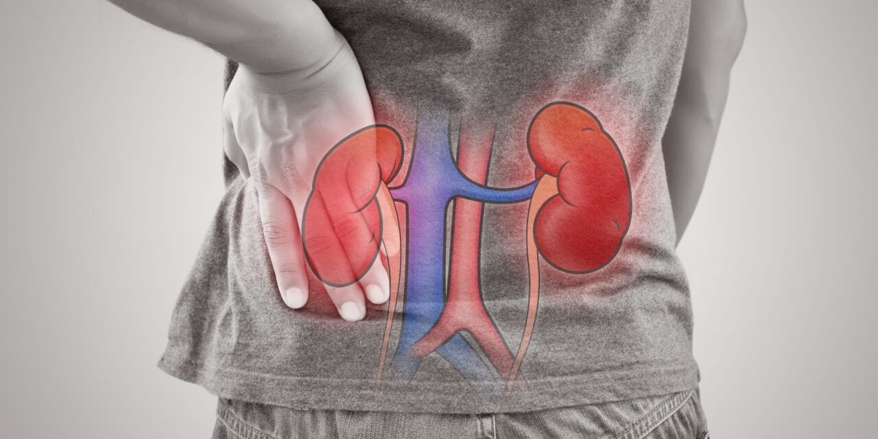 BioPorto Highlights FDA-Cleared ProNephro AKI Test Amid Growing Focus on Kidney Injury Biomarkers