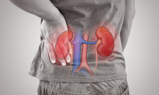 BioPorto Highlights FDA-Cleared ProNephro AKI Test Amid Growing Focus on Kidney Injury Biomarkers