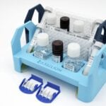 New AAV Quantification Kits Aim to Simplify Gene Therapy Laboratory Workflows