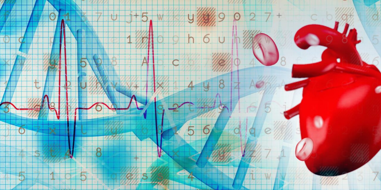 Mass General Brigham Launches Genetic Test for Eight Cardiovascular Conditions