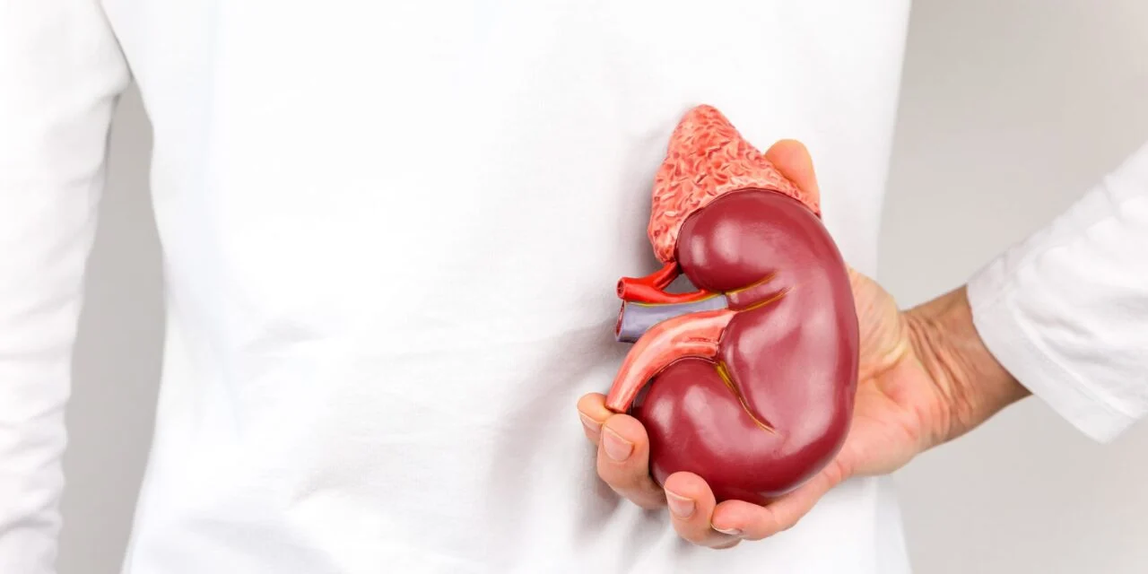 UAE Approves Biomerica’s Home Kidney Test
