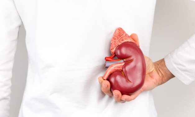 UAE Approves Biomerica’s Home Kidney Test
