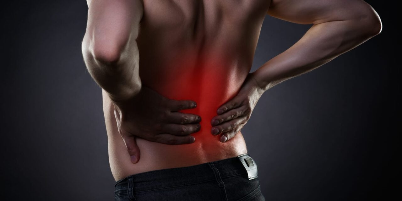 BioPorto’s Acute Kidney Injury Test Now Available to US Labs Through Roche Partnership