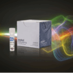 New qPCR Multiplexing Probes Aim to Reduce Turnaround Times and Streamline Ordering