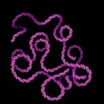 Blood Test Shows Promise for Tailoring Colon Cancer Chemotherapy