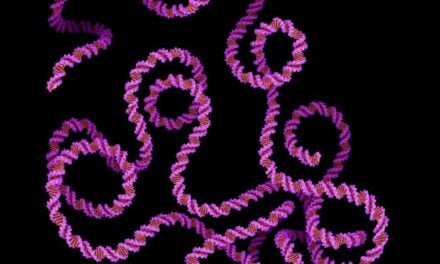 Blood Test Shows Promise for Tailoring Colon Cancer Chemotherapy