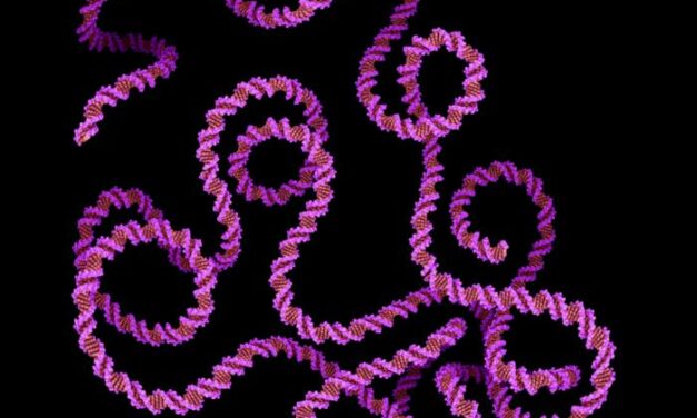 Blood Test Shows Promise for Tailoring Colon Cancer Chemotherapy