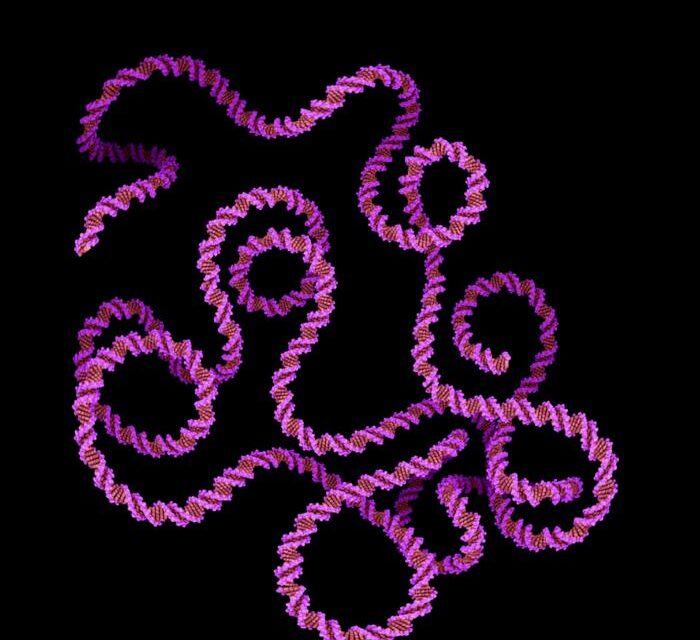 Blood Test Shows Promise for Tailoring Colon Cancer Chemotherapy