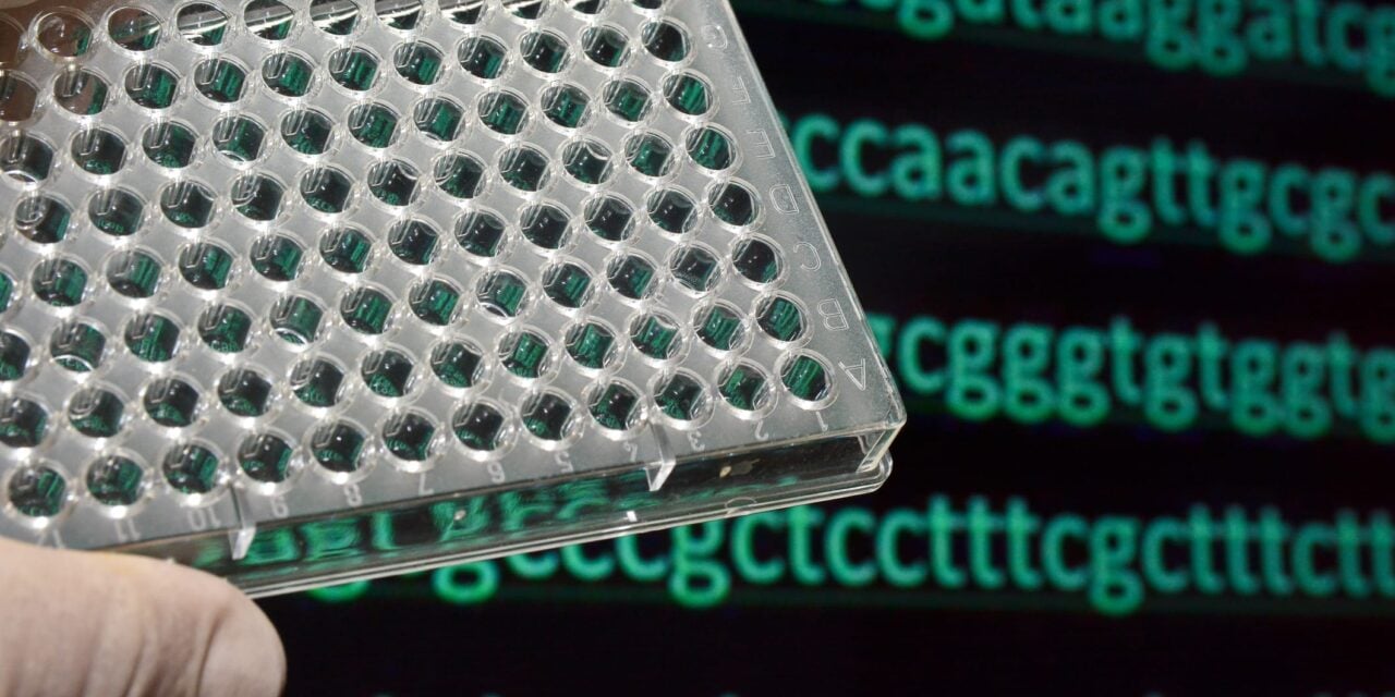 New Automated Target Enrichment Protocols Support High-Throughput Genomic Workflows