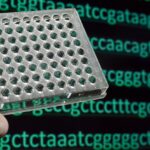 New Automated Target Enrichment Protocols Support High-Throughput Genomic Workflows