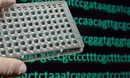New Automated Target Enrichment Protocols Support High-Throughput Genomic Workflows