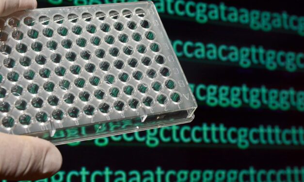 New Automated Target Enrichment Protocols Support High-Throughput Genomic Workflows
