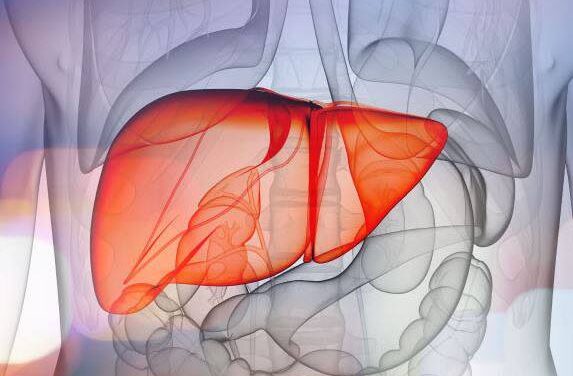 Comprehensive Liver Health Management: Top Platforms for Health Care Organizations