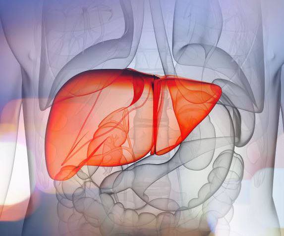 Comprehensive Liver Health Management: Top Platforms for Health Care Organizations