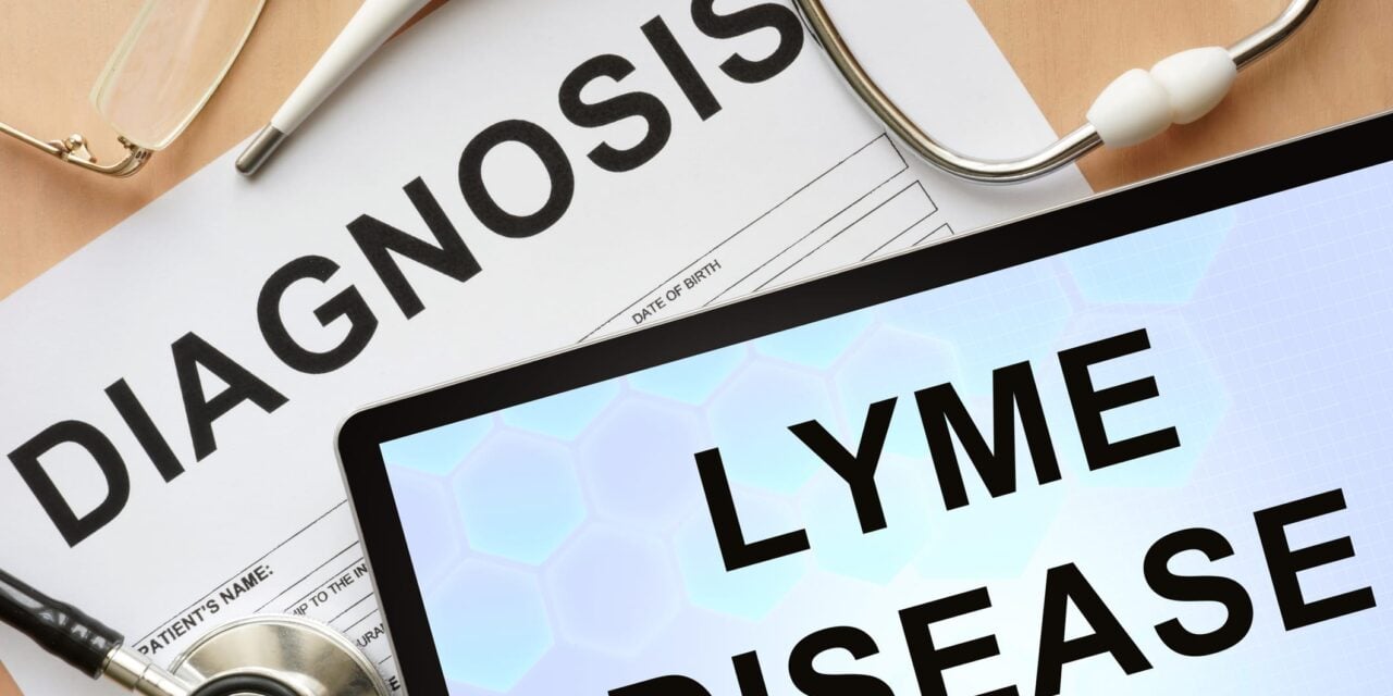 Dartmouth Researchers Develop Molecular Test for More Accurate Lyme Disease Diagnosis