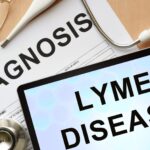 Dartmouth Researchers Develop Molecular Test for More Accurate Lyme Disease Diagnosis