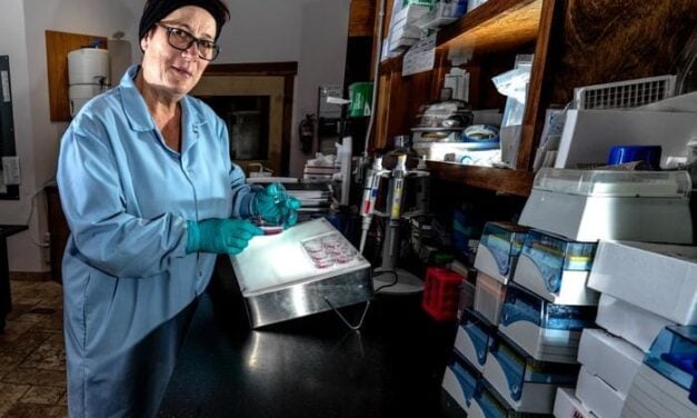 Blood Test Achieves 97% Accuracy in ALS Diagnosis
