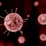 Co-Diagnostics Confirms Flu Test Performance Against This Season’s H3N2 Strain