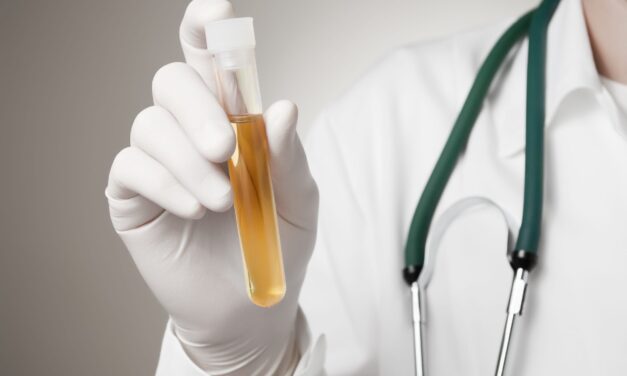 New Method Cuts Urinary Tract Infection Resistance Testing Time by 24 Hours