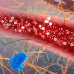 Researchers Identify Four New Markers for Detecting Aggressive Breast Cancer Cells in Blood