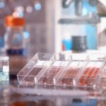 New Standards Issued for Liquid Biopsy Cancer Recurrence Tests