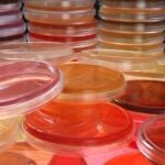 BD and Envetec Complete Pilot Study on Laboratory Plastic Recycling