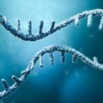 Cirena Launches Long RNA Synthesis Platform for CRISPR Applications
