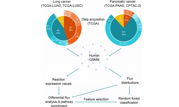 New Systems Biology Approach Improves Cancer Diagnosis Using Multi-Omic Data