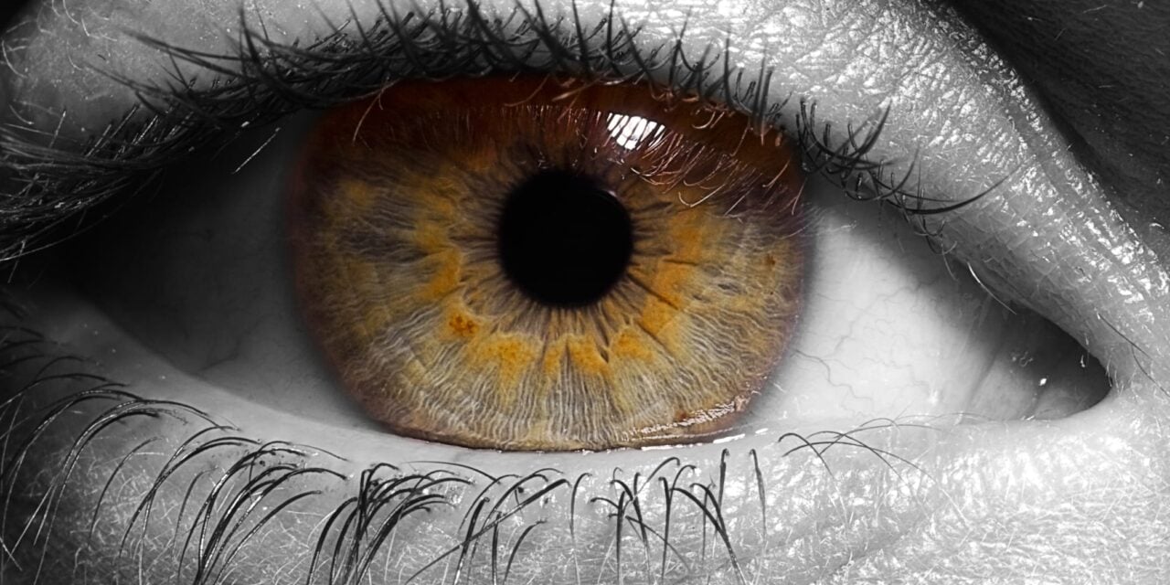 NIH Awards $2.5 Million to Advance Eye-Based Detection of ALS Biomarker TDP-43