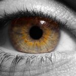 NIH Awards $2.5 Million to Advance Eye-Based Detection of ALS Biomarker TDP-43