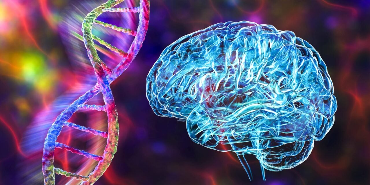 Roche Receives CE Mark for Blood-Based Immunoassay Test to Detect Alzheimer's Genetic Risk Factor ApoE4