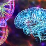 Roche Receives CE Mark for Blood-Based Immunoassay Test to Detect Alzheimer’s Genetic Risk Factor ApoE4