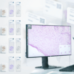 Sakura Finetek and Hamamatsu Photonics Partner to Advance End-to-End Digital Pathology Workflows