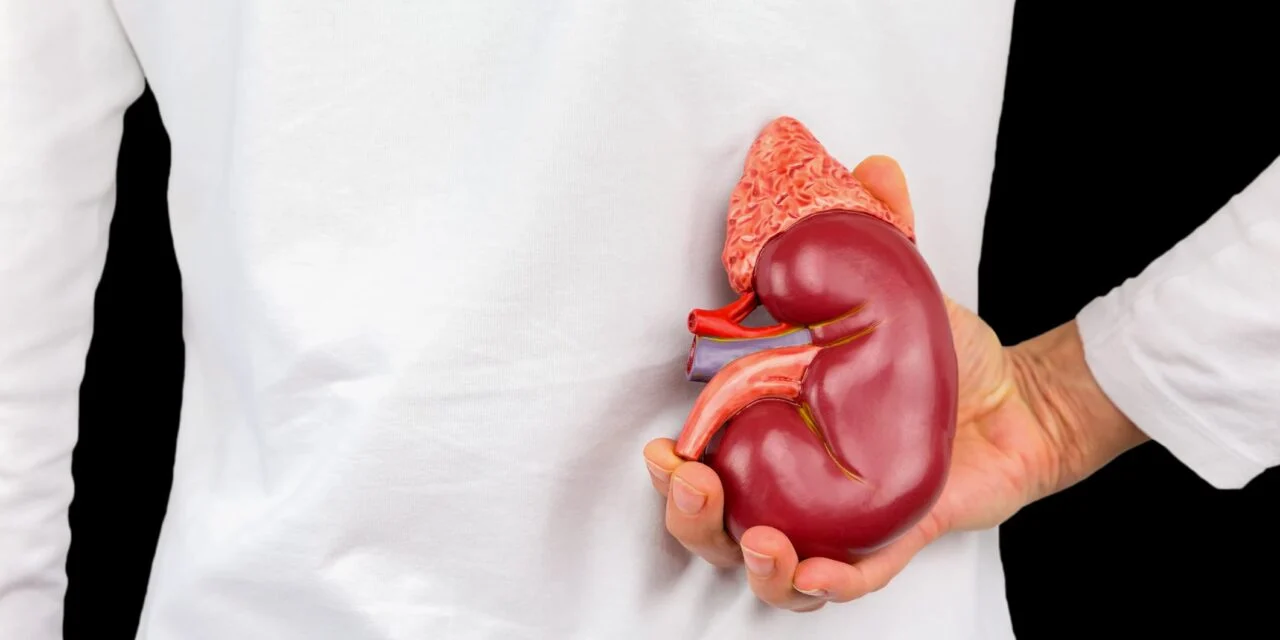 Insight Molecular Diagnostics Nears FDA Submission for Kidney Transplant Rejection Test Kit