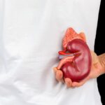 Insight Molecular Diagnostics Nears FDA Submission for Kidney Transplant Rejection Test Kit