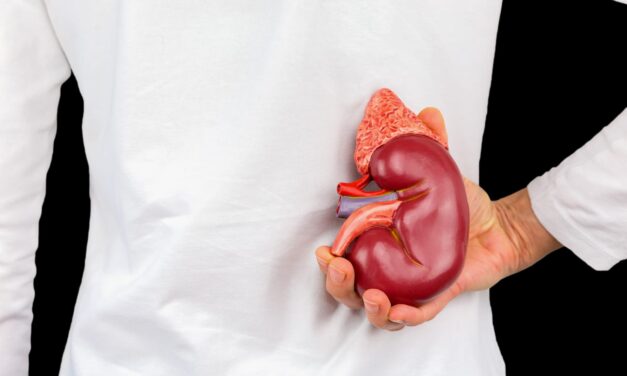 Insight Molecular Diagnostics Nears FDA Submission for Kidney Transplant Rejection Test Kit