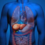 Hepion Pharmaceuticals Licenses ctRNA Biomarker Assay for Liver Cancer Detection