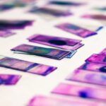 AI Platform Predicts Biomarker Expression from Standard Pathology Slides, With No Additional Staining Required