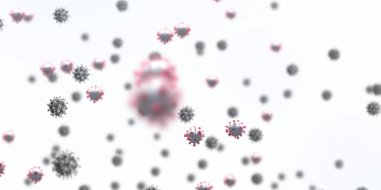 Roche Launches Respiratory Pathogen Panel With Flexible Syndromic Testing for CE Markets