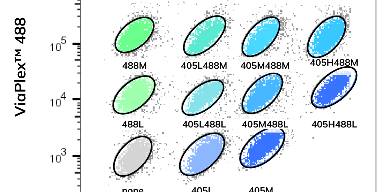 Biotium’s New Cell Barcoding Kit Allows Up to 15-Sample Multiplexing in a Single Flow Cytometry Tube