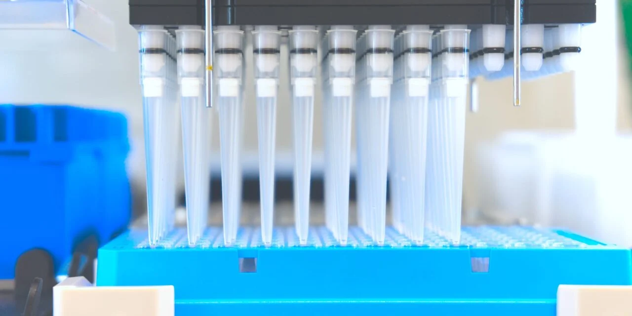 CellCarta and Pillar Biosciences Partner to Expand Tumor Profiling for Oncology Trials