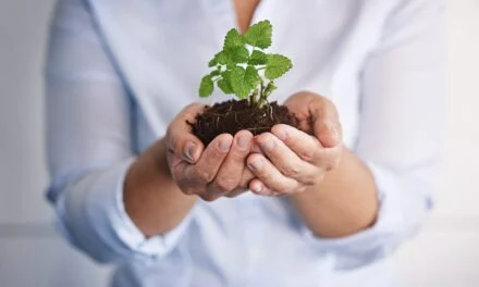 ViewsML Raises $4.9 Million for AI-Based Virtual Tissue Staining