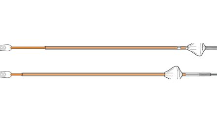 New Endometrial Sampling Device Receives FDA Clearance for Cancer Detection