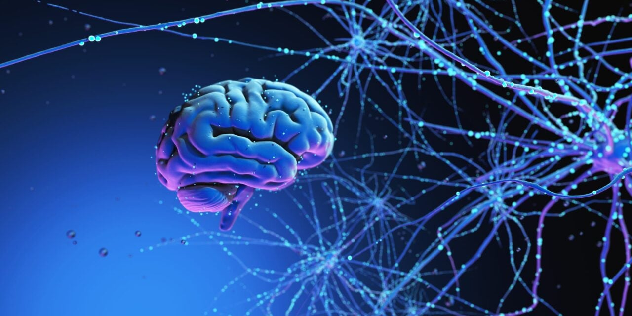 New Partnership Aims to Improve Early Alzheimer’s Disease Detection