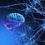 New Partnership Aims to Improve Early Alzheimer’s Disease Detection