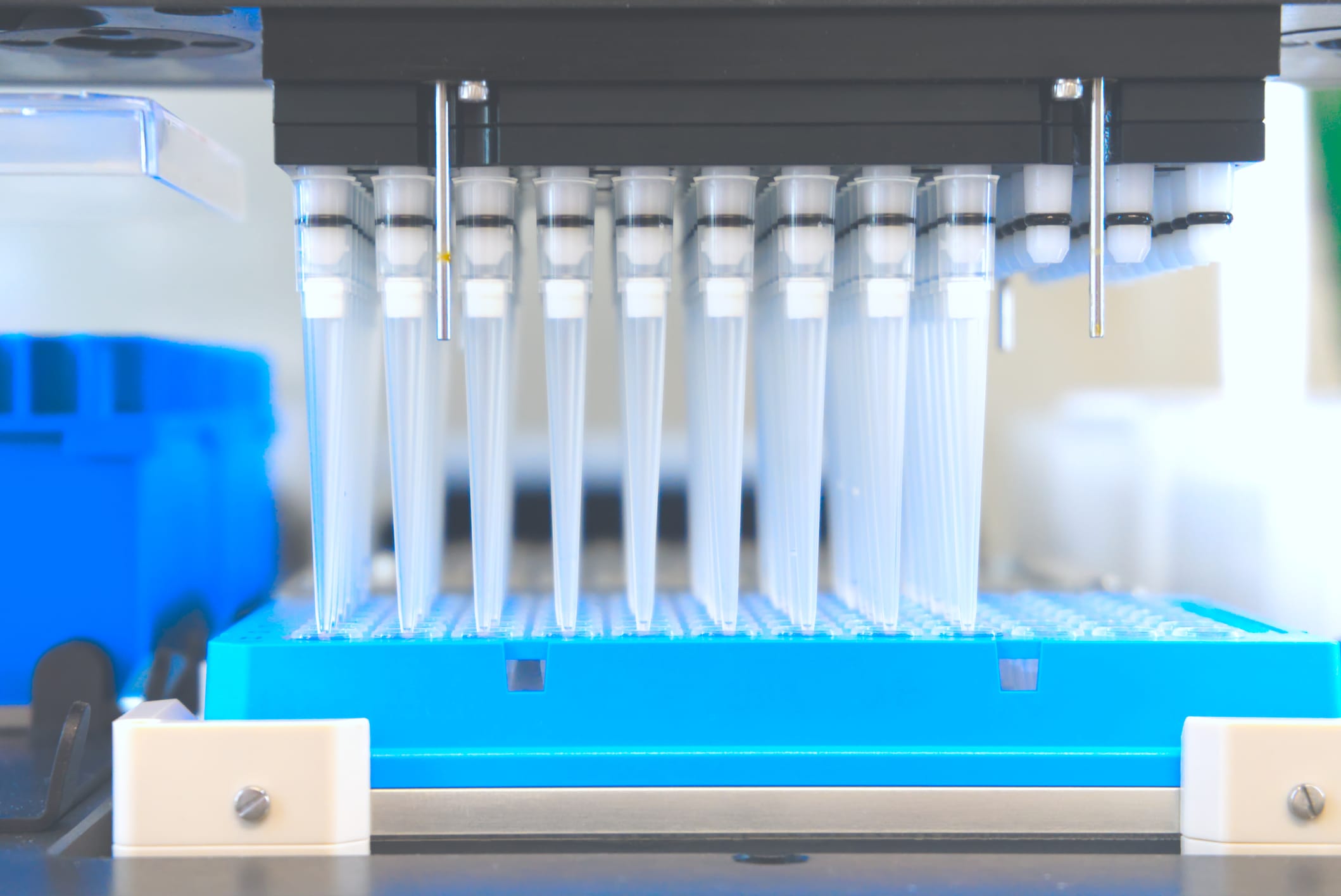 CellCarta and Pillar Biosciences Partner to Expand Tumor Profiling for ...