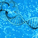 Invivoscribe Launches Automated System Integrating Nucleic Acid Extraction and Quantification