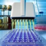 Automated Cytomegalovirus PCR Assay Receives IVDR Certification for Transplant Care