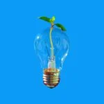 Seed Funding to Advance Biopsy Catchment Technology and Liquid Specimen Biorepository